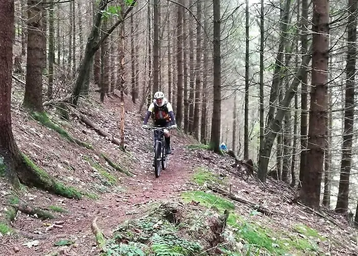 Ferienwohnung Auf Dem Dach Des Frankenwaldes