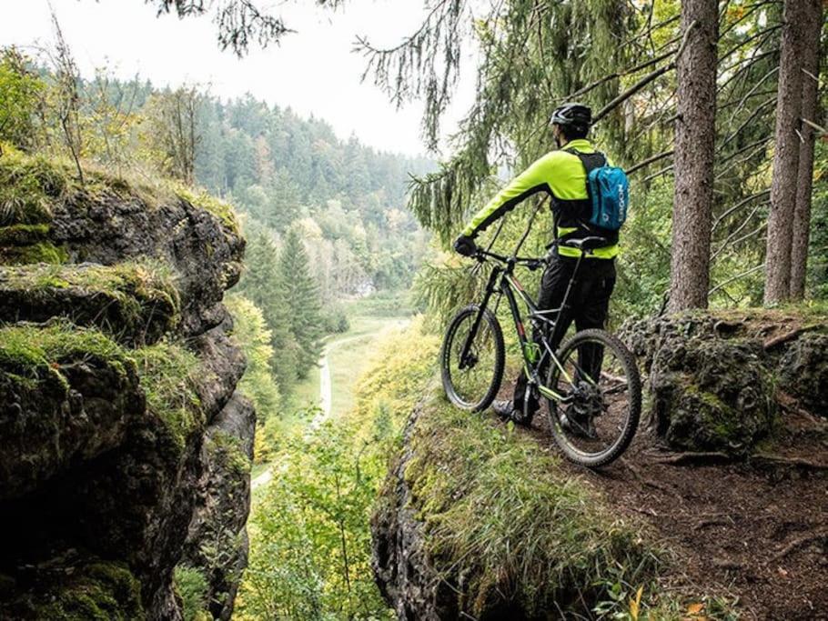 Auf Dem Dach Des Frankenwaldes *