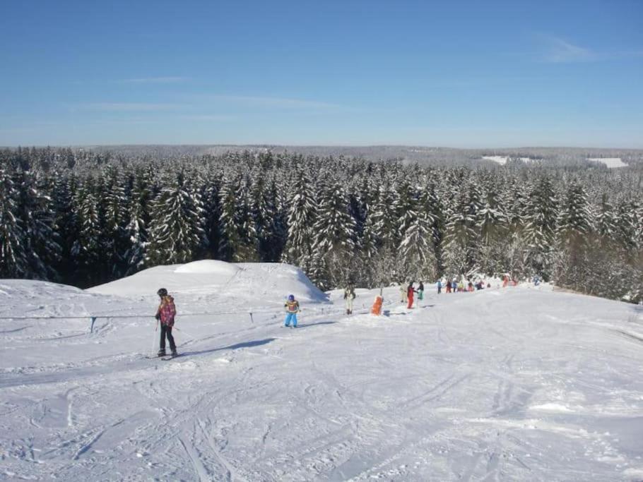 Auf Dem Dach Des Frankenwaldes Schwarzenbach am Wald