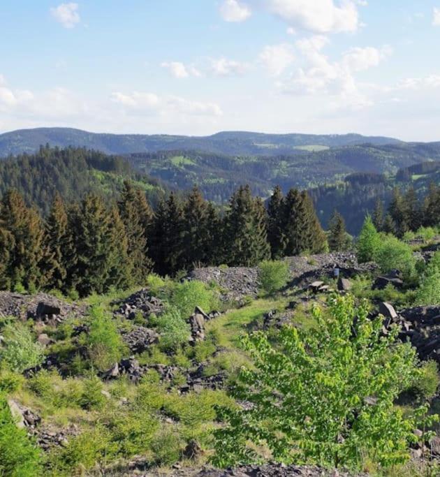 Auf Dem Dach Des Frankenwaldes *