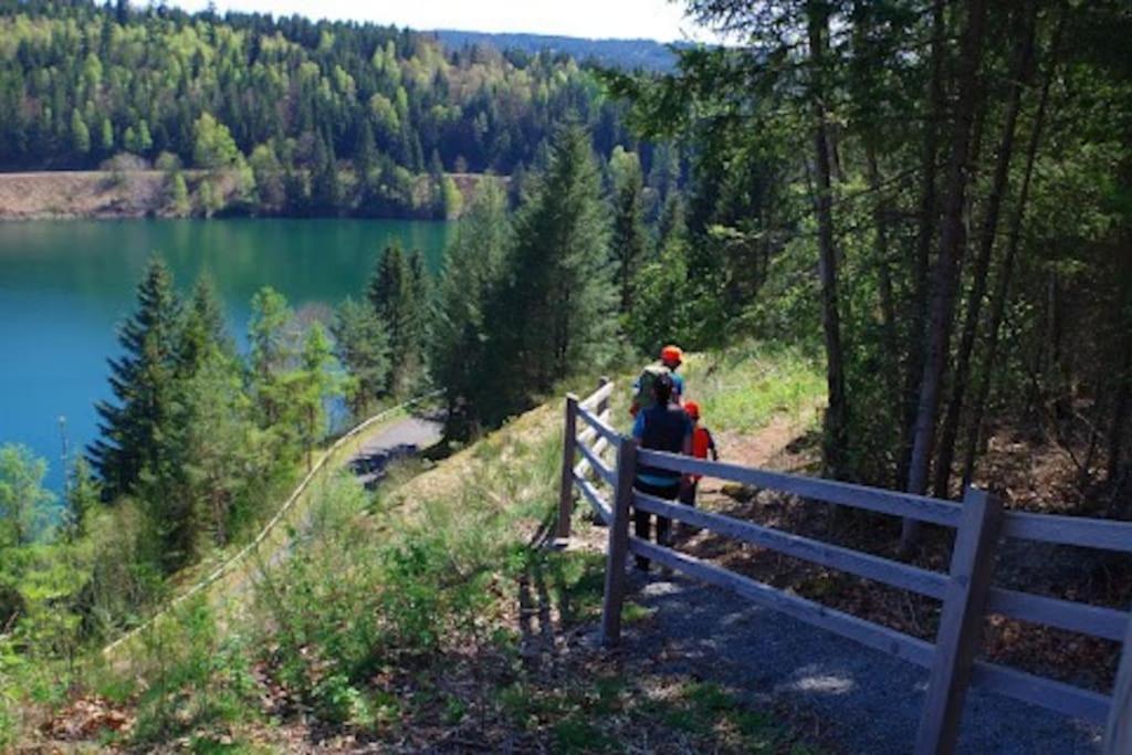 Auf Dem Dach Des Frankenwaldes Schwarzenbach am Wald